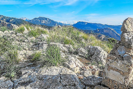 El secret de na Fàtima i la Serra de Tramuntana