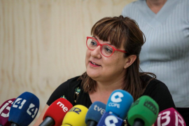 Busquets reivindica el català com a «llengua de cohesió» durant el ple del Consell