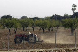 Unió de Pagesos reclama als ajuntaments que incloguin en els pressuposts una partida per als agricultors