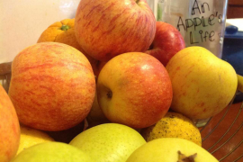 Fruites, la satisfacció de l’estiu (i II)