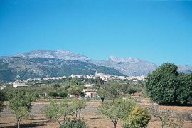 Incendi de superfície agrícola a Campanet 