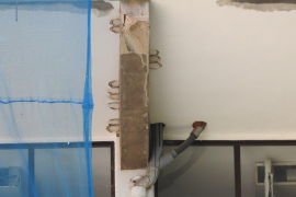 El GOB alerta de la destrucció de nius de ‘cabot’ a les obres del col·legi Lluís Vives