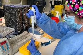 Segons el Ministeri de Sanitat hi ha un total de 6.939 positius per Covid-19 a les Balears, 336 més que aquest dimarts