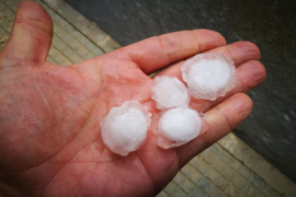 El calabruix, en alguns casos, pareixia una pilota de golf.