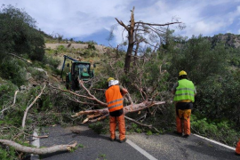 Els operaris de l'Ibanat treballen per restablir les carreteres.