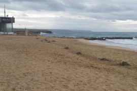 Tancades les platges de Palma per la tempesta i abocaments de residuals a Can Pere Antoni, Ciutat Jardí i Cala Major