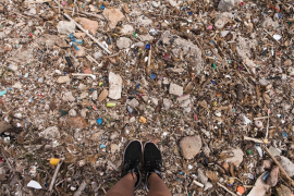 El GOB Menorca posa en marxa un programa «d'adopció» de platges