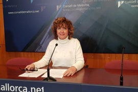 Mora: «La presidenta del Consell, Catalina Cladera, no creu en la institució que presideix»