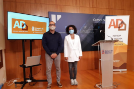 L'Agència de Defensa del Territori va executar durant el 2019 un total de 124 demolicions