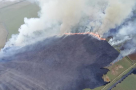 Les imatges més impressionants i colpidores dels incendis a s'Albufera