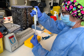 Coronavirus.- Baleares notifica 297 contagios y cuatro nuevos fallecimientos desde el viernes