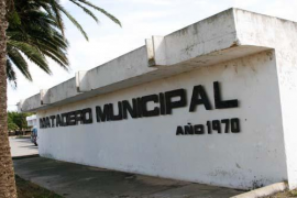 Més per Menorca advoca per un escorxador de gestió insular