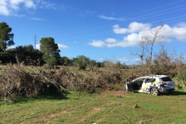 Un estudi de la UIB analitza les víctimes mortals provocades per les torrentades a Mallorca