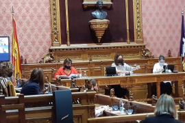 Consell i Calvià s'adhereixen a l'Agència de Defensa del Territori