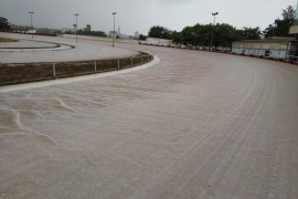 Denuncien per maltractament animal un genet que va fer beure cava a una egua