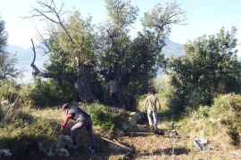 Els arqueòlegs inicien els treballs de rehabilitació al jaciment des Puig den Canals