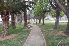 Una nova ordenança regularà el 'verd urbà'