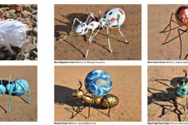 Les 'dones formigues' arriben al Mercat de l'Olivar de Palma