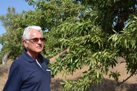 L'escriptor Rafel Socias publica el llibre 'La Nina de Miramar'.