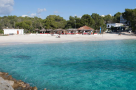 Una denúncia del GOB davant la Fiscalia destapa que el xibiu de Mondragó s'ha explotat il·legalment durant anys