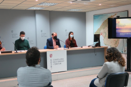 Les Balears es converteixen en el primer territori europeu que aconsegueix erradicar la vespa asiàtica