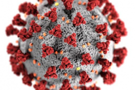 Primer positiu per Covid a Fornalutx