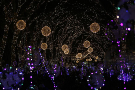 El Govern descarta ampliar a 10 persones les reunions familiars el 26 de desembre