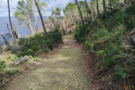 Conclouen les tasques de reparació de la Volta del General afectada pel temporal d'agost.