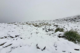 La borrasca 'Dora' deixa neu a la Serra de Tramuntana.