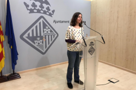 Cort valora «molt favorablement» que la Comissió de Medi Ambient rebutgi el projecte de cimentera de Son Güells