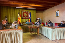 Aprovat rebaixar l’IBI a autònoms i comerciants