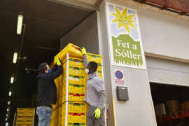 Cada dos o tres dies per setmana envien taronges a Europa.