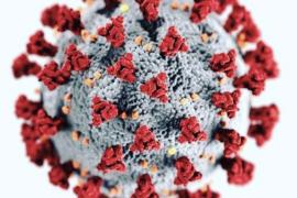 Confirmat un brot de Covid al waterpolo amb 7 positius