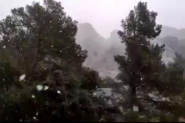 Primer flocs de neu a la Serra. Miquel Salamanca