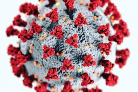 Sóller se situa en risc extrem de contagis