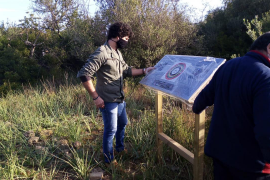 L'arqueòleg, Jaume Deyà, al jaciment Puig den Canals.