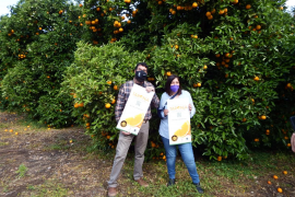 La finca de Can Det a Biniaraix acollí la presentació de les Jornades de la Taronja d’enguany.