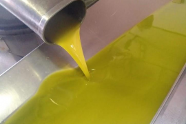 L’oli d’oliva perd qualitat amb el pas del temps, per això s’havia de treure l’estoc acumulat.