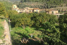 Aguiló s’alia amb l’oposició per no prorrogar de moment la concessió a Aqualia