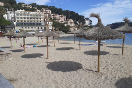 Ahir l’empresa concessionària de les platges instal·lava els para-sols.