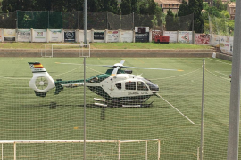 Mor un home al caure d'un pi a Sóller