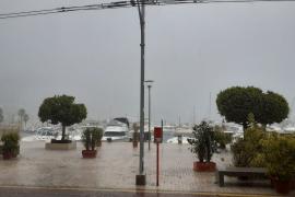 Fortes ratxes de vent colpegen el Port