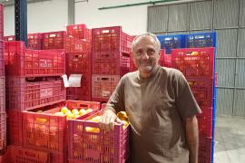 Gual prepara nous projectes per potenciar la cooperativa. 