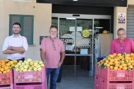 La Cooperativa i Agromart col·laboren per distribuir els cítrics sollerics