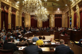 MÉS reclama que la Constitució espanyola faciliti la democràcia directa.