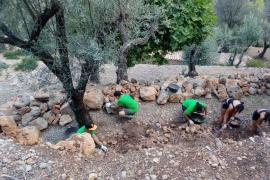 Els voluntaris decanten les pedres dels marges caiguts.