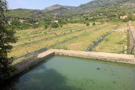 L'analítica confirma que l'aigua depurada per al reg de Sóller està contaminada