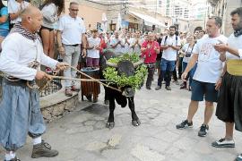 La davallada del bou de l’any 2019, l’última vegada que se celebraren les festes abans de la pandèmia.