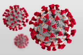 Cap contagi en la darrera setmana