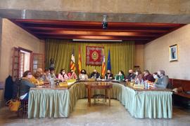 El ple extraordinari se celebrà ahir a la Sala Magna.